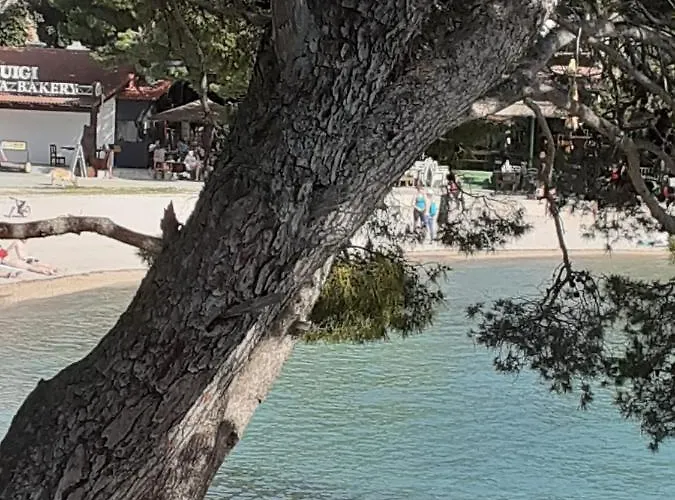 Κάμπινγκ Carpe Diem