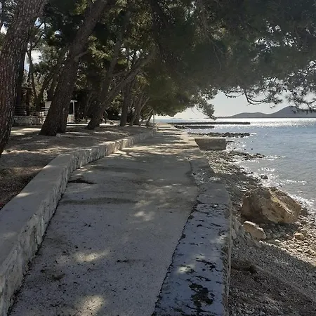 Carpe Diem Kemping *