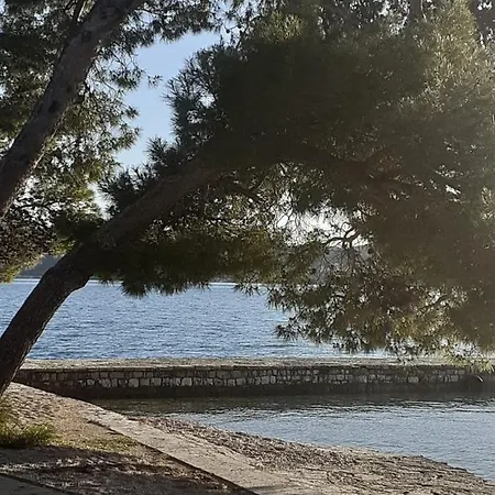 Carpe Diem Biograd na Moru