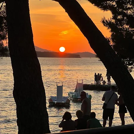 营地 Carpe Diem