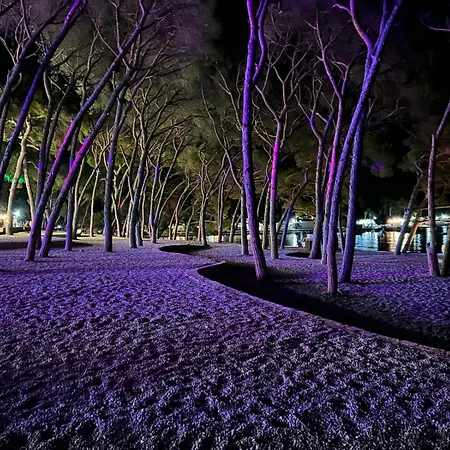 Carpe Diem * Biograd na Moru