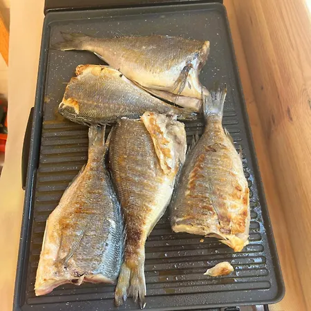 Kemping Carpe Diem *